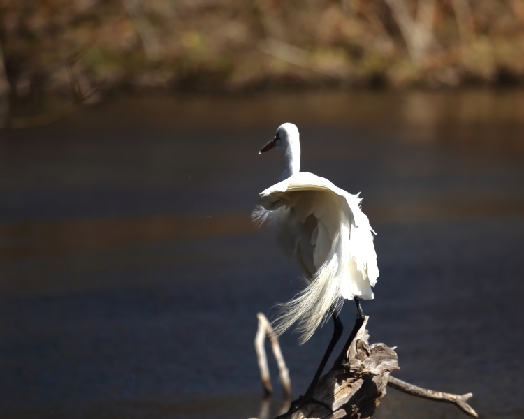 2013 04 03 IMG 02205e